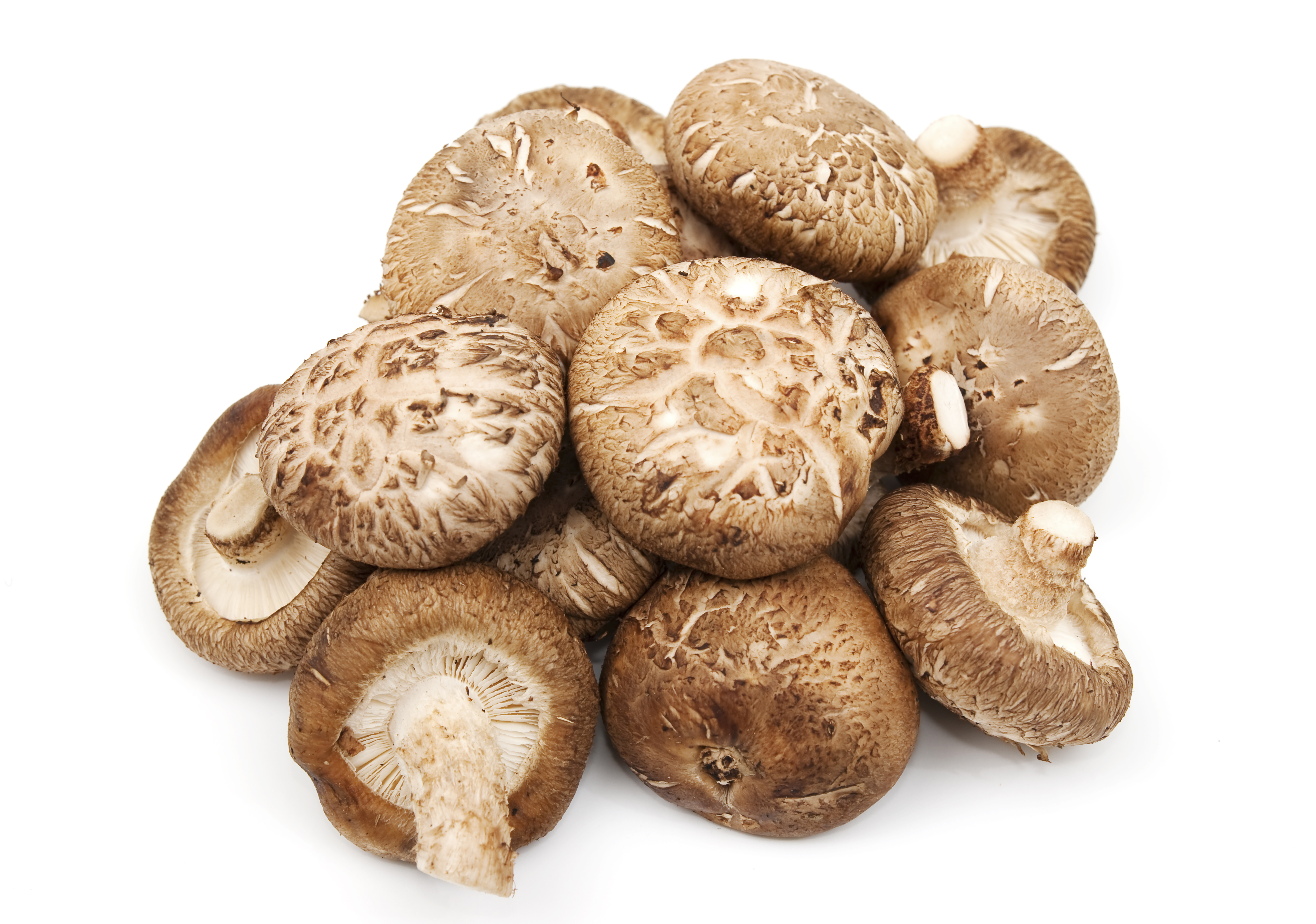 A selection of Shitake Mushrooms on white background