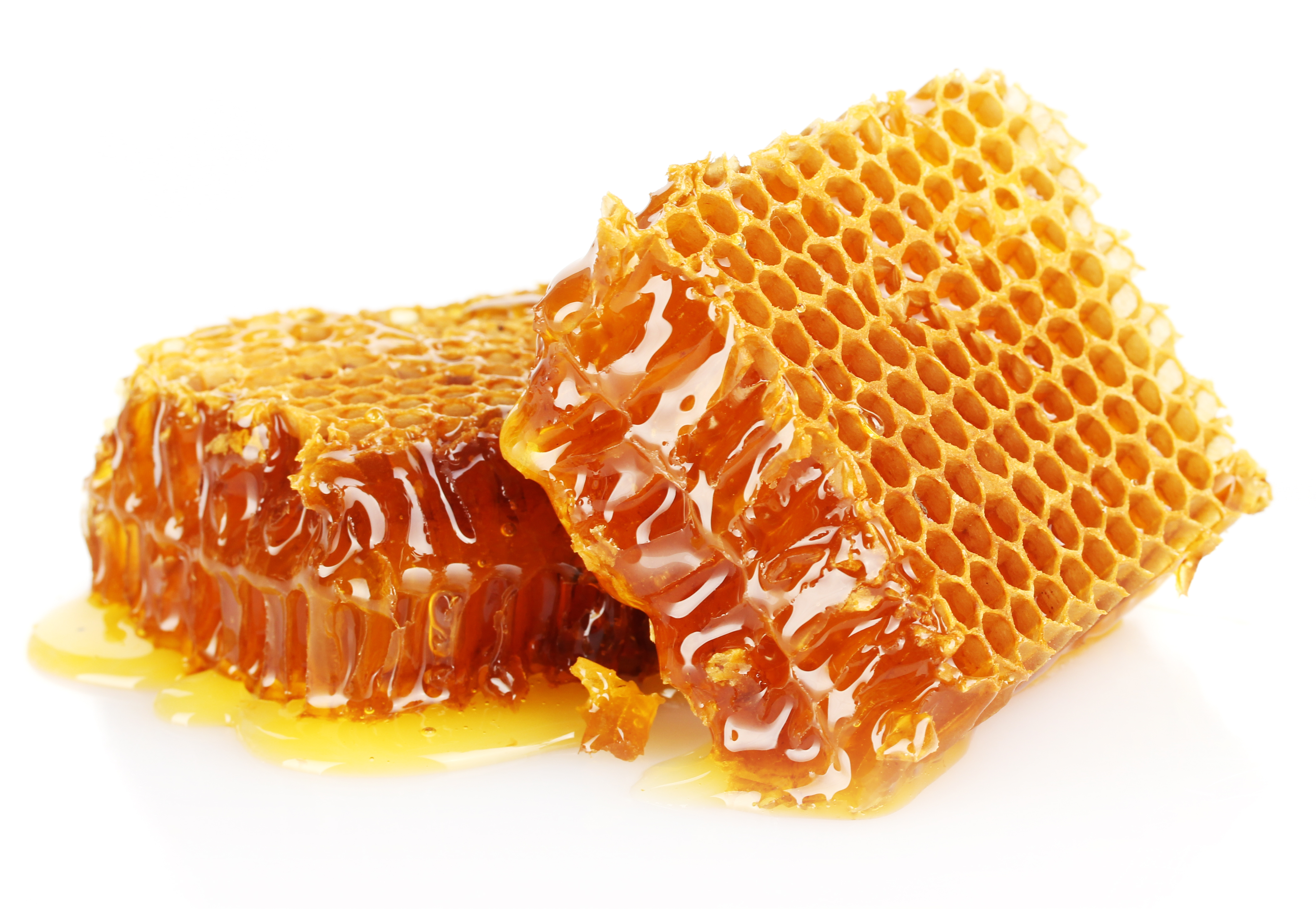 น้ำผึ่ง,ประโยชน์ของน้ำผึ้ง,สารสกัดน้ำผึ้ง,สรรพคุณของน้ำผึ้ง