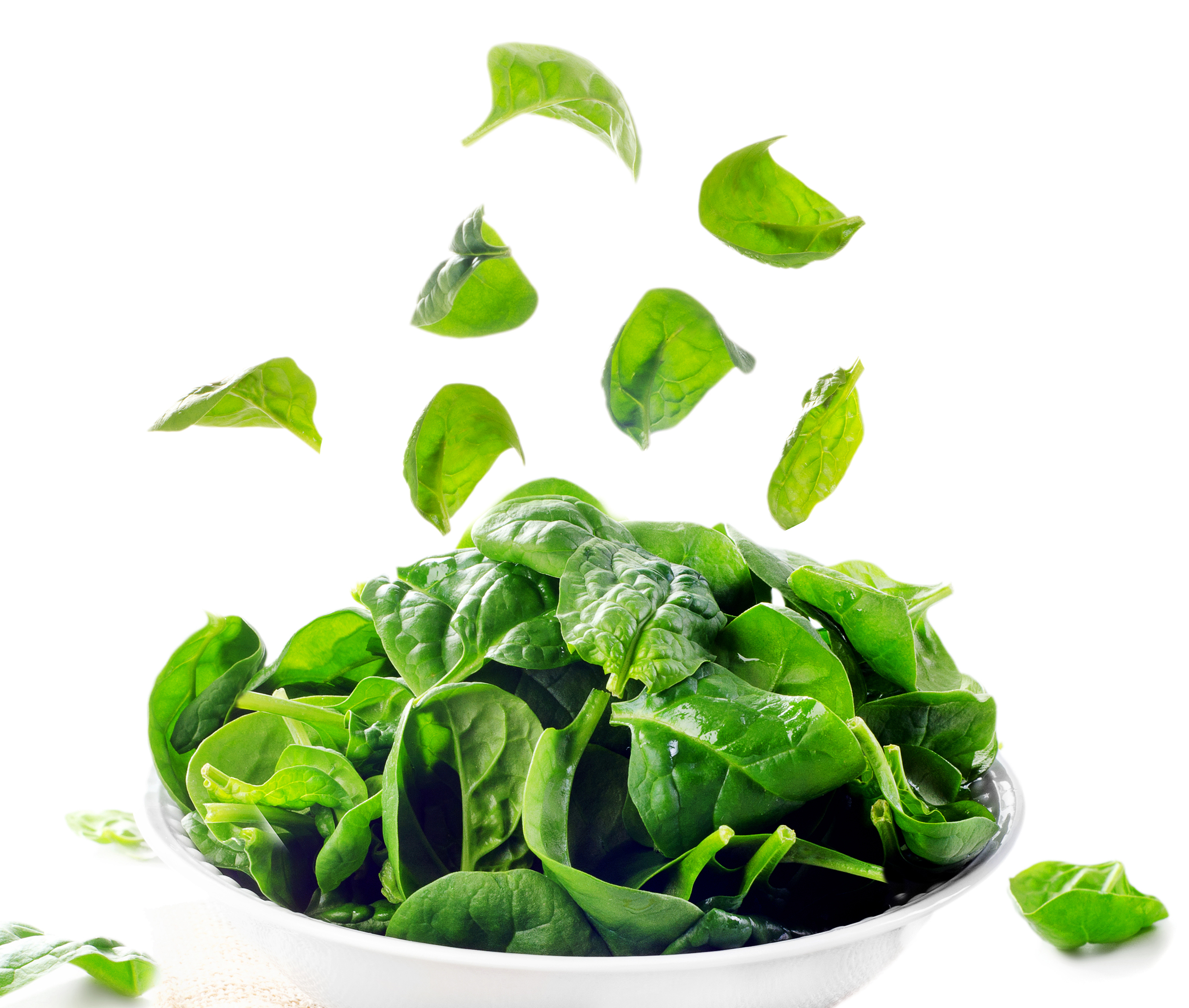 Fresh green spinach leaves isolated on white. Selective focus