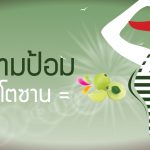 ประโยชน์ของมะขามป้อม ,รับผลิตอาหารเสริม ,รับผลิตอาหารเสริม One Stop Service ,โรงงานผลิตอาหารเสริม
