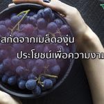 สารสกัดจากเมล็ดองุ่น ,รับผลิตอาหารเสริม
