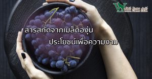 สารสกัดจากเมล็ดองุ่น ,รับผลิตอาหารเสริม