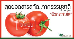 ไลโคปีน ในมะเขือเทศ ,ไลโคปีน