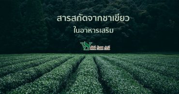 สารสกัดจากชาเขียว ,รับผลิตอาหารเสริม