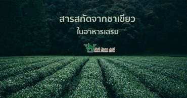 สารสกัดจากชาเขียว ,รับผลิตอาหารเสริม