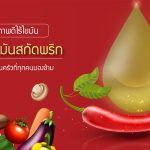 น้ำมันสกัดพริก,ประโยชน์ของพริก,สรรพคุณของพริก