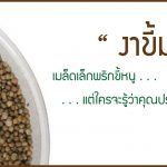 งาขี้ม่อน,พืชที่ช่วยลดความเสี่ยงเบาหวาน,วิธีการชะลอความแก่