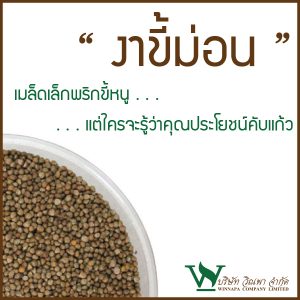 งาขี้ม่อน,พืชที่ช่วยลดความเสี่ยงเบาหวาน,วิธีการชะลอความแก่