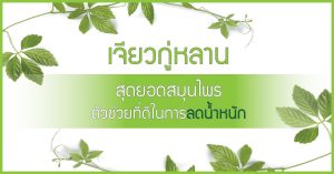 เจียวกู่หลาน,สมุนไพรลดน้ำหนัก,วิธีลดน้ำหนัก