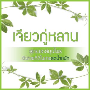 เจียวกู่หลาน,สมุนไพรลดน้ำหนัก,วิธีลดน้ำหนัก