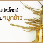 น้ำมันจมูกข้าว,ประโยชน์ของน้ำมันจมูกข้าว,วิธีการทานน้ำมันจมูกข้าว,น้ำมันจมูกข้าวช่วยลดการเกิดโรค