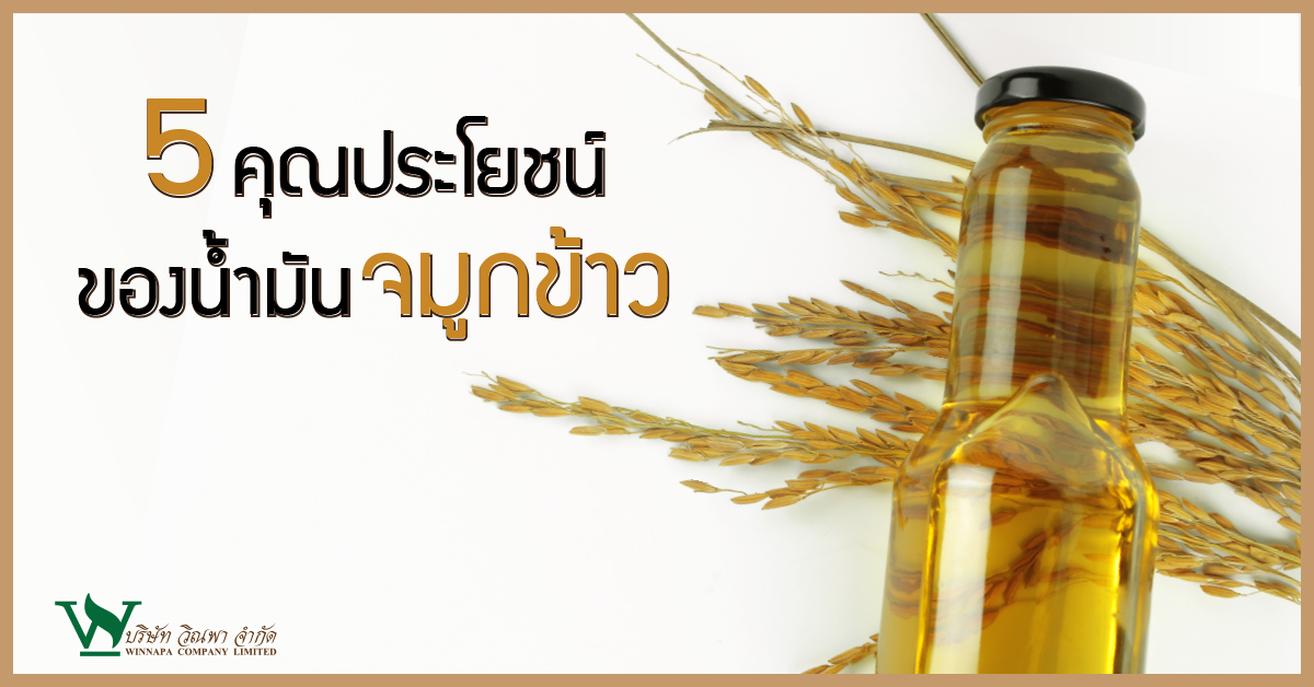 น้ำมันจมูกข้าว,ประโยชน์ของน้ำมันจมูกข้าว,วิธีการทานน้ำมันจมูกข้าว,น้ำมันจมูกข้าวช่วยลดการเกิดโรค