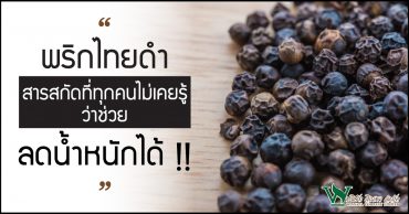 พริกไทยดำ,ประโยชน์ของพริกไทยดำ,ลดน้ำหนักด้วยพริกไทยดำ,ข้อดีของพริกไทยดำ