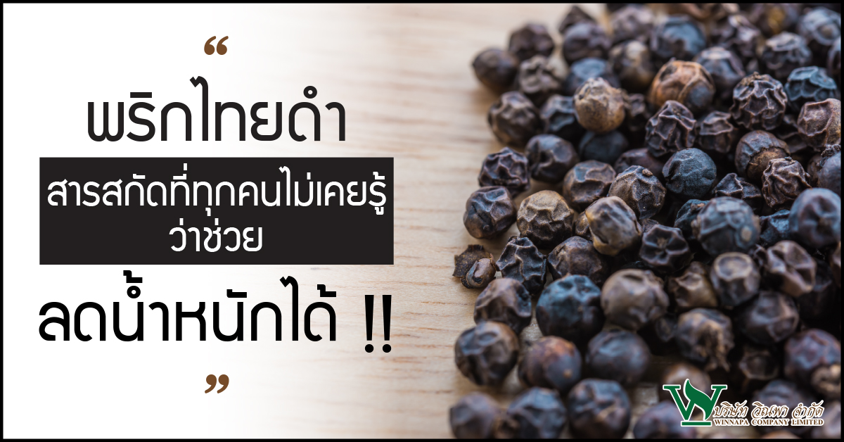 พริกไทยดำ,ประโยชน์ของพริกไทยดำ,ลดน้ำหนักด้วยพริกไทยดำ,ข้อดีของพริกไทยดำ