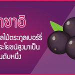 อาซาอิ ที่สุดของผลไม้ตระกูลเบอร์รี่ที่มีคุณประโยชน์สูงมาเป็นอันดับหนึ่ง