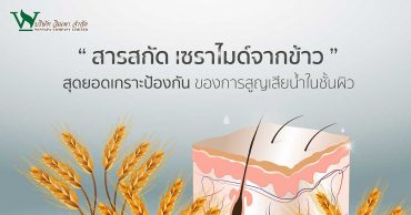 สารสกัด เซราไมด์ จากข้าวสุดยอดเกราะป้องกันของการสูญเสียน้ำในชั้นผิว