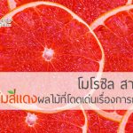โมโรซิล สารสกัดจากส้มสีแดงผลไม้ที่โดดเด่นเรื่องการกระชับสัดส่วน