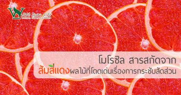 โมโรซิล สารสกัดจากส้มสีแดงผลไม้ที่โดดเด่นเรื่องการกระชับสัดส่วน