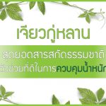 เจียวกู่หลาน สุดยอดสารสกัดธรรมชาติตัวช่วยที่ดีในการลดน้ำหนัก