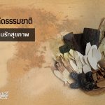 ตังกุย สารสกัดธรรมชาติ ของแดนเมืองใหญ่ ยอดนิยมบำรุงสุขภาพ