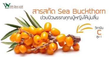 สารสกัดจาก Sea Buckthorn ช่วยผิวพรรณคุณผู้หญิงให้นุ่มลื่น