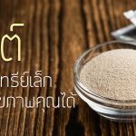 ยีสต์ เจ้าจุลินทรีย์ตัวเล็กที่ดูแลสุขภาพคุณได้