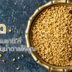 ลูกซัด วัตถุดิบธรรมชาติที่ช่วยลดระดับน้ำตาลให้คุณ