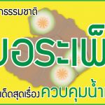 วัตถุดิบจากธรรมชาติ บอระเพ็ด เด็ดสุดเรื่องควบคุมน้ำหนัก!