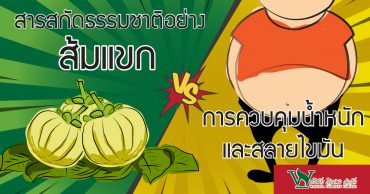 สารสกัดธรรมชาติอย่าง ส้มแขก VS การควบคุมน้ำหนักและสลายไขมัน