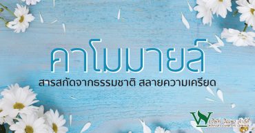 คาโมมายล์ สารสกัดจากธรรมชาติสลายความเครียด