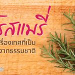 โรสแมรี่ เครื่องเทศที่เป็นวัตถุดิบจากธรรมชาติ