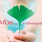 ใบแปะก๊วย ...สารต้านอนุมูลอิสระชั้นเลิศ