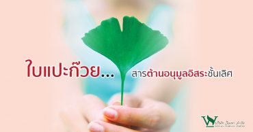 ใบแปะก๊วย ...สารต้านอนุมูลอิสระชั้นเลิศ