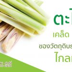 ตะไคร้ เคล็ด(ไม่)ลับของวัตถุดิบจากธรรมชาติ ไกลมะเร็ง