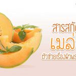สารสกัดจากเมล่อน ตัวช่วยเรื่องผิวพรรณของสาวๆ