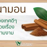 ประโยชน์ของชินนามอน,สรรพคุณของชินนามอน, ชินนามอน,ชินนามอนช่วยอะไร