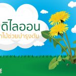 แดนดิไลออน,แดน ดิ ไลออน และ ราก โก โบ,ประโยชน์ แดนดิไลออน