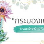 กระบองเพชร,ประโยชน์ของกระบองเพชร,สรรพคุณของกระบองเพชร,ข้อดีของกระบองเพชร