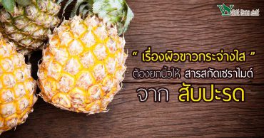 สับปะรด,เซราไมด์จากสับปะรด,ประโยชน์ของเซราไมด์จากสับปะรด,คุณสมบัติของเซราไมด์จากสับปะรด