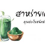 สาหร่ายเคลป์,ประโยชน์ของสาหร่ายเคลป์,ข้อดีของสาหร่ายเคลป์