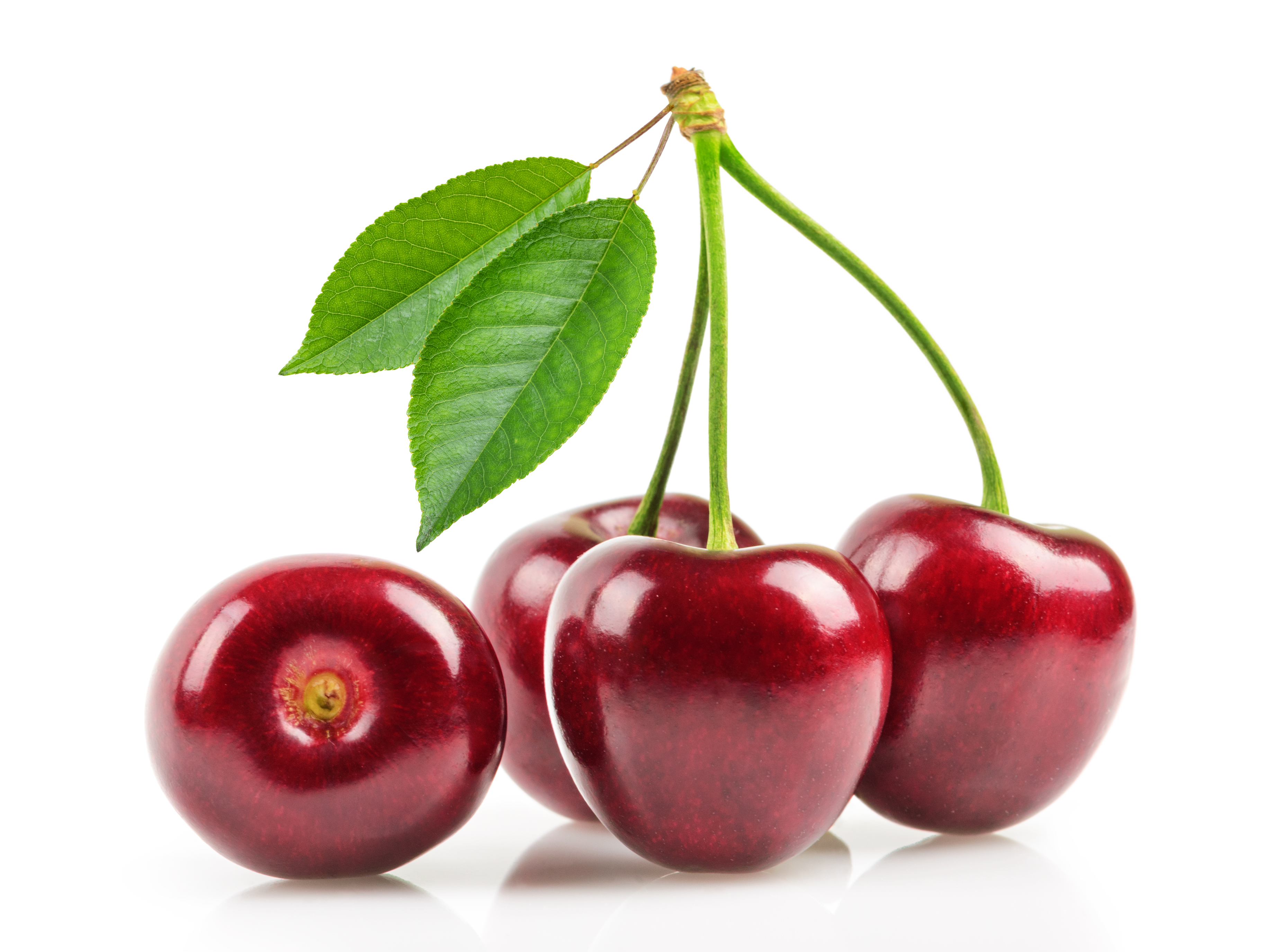 cherries isolated