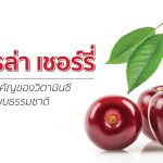 อะเซโรล่า เชอร์รี่,ประโยชน์ของอะเซโรล่า เชอร์รี่,สรรพคุณของอะเซโรล่า เชอร์รี่