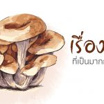 เห็ด,ประโยชน์ของสารสกัดจากเห็ด,สรรพคุณของเห็ด,สรรพคุณทางยาของเห็ด,ประโยชน์ของสารสกัดเห็ดในอาหารเสริม