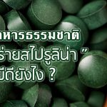 สาหร่ายสไปรูลิน่า,ประโยชน์ของสาหร่ายสไปรูลิน่า,สรรพคุณของสาหร่ายสไปรูลิน่า