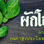 ผักโขม,ประโยชน์ของผักโขม,สรรพคุณของผักโขม