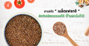 เมล็ดแฟลกซ์,ประโยชน์ของสารสกัดเมล็ดแฟลกซ์,สรรพคุณของเมล็ดแฟลกซ์,ข้อดีของการทานเมล็ดแฟลกซ์