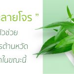 ต้านหวัด,วิธีการต้านหวัด,อาหารช่วยต้านหวัด