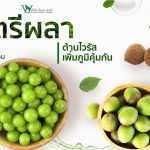 ตรีผลา,สรรพคุณตรีผลา,ประโยชน์ตรีผลา,ส่วนประกอบของตรีผลา