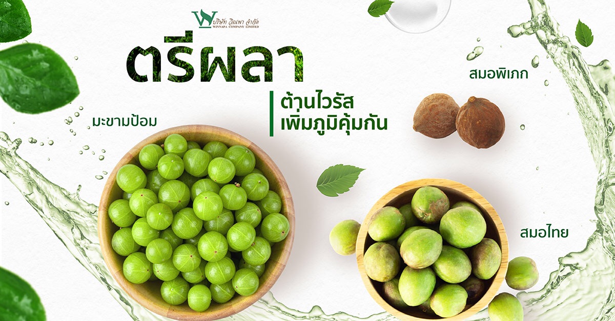 ตรีผลา,สรรพคุณตรีผลา,ประโยชน์ตรีผลา,ส่วนประกอบของตรีผลา