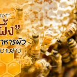 นมผึ้ง,ประโยชน์ของนมผึ้ง,สรรพคุณของนมผึ้ง,นมผึ้งกับความงาม